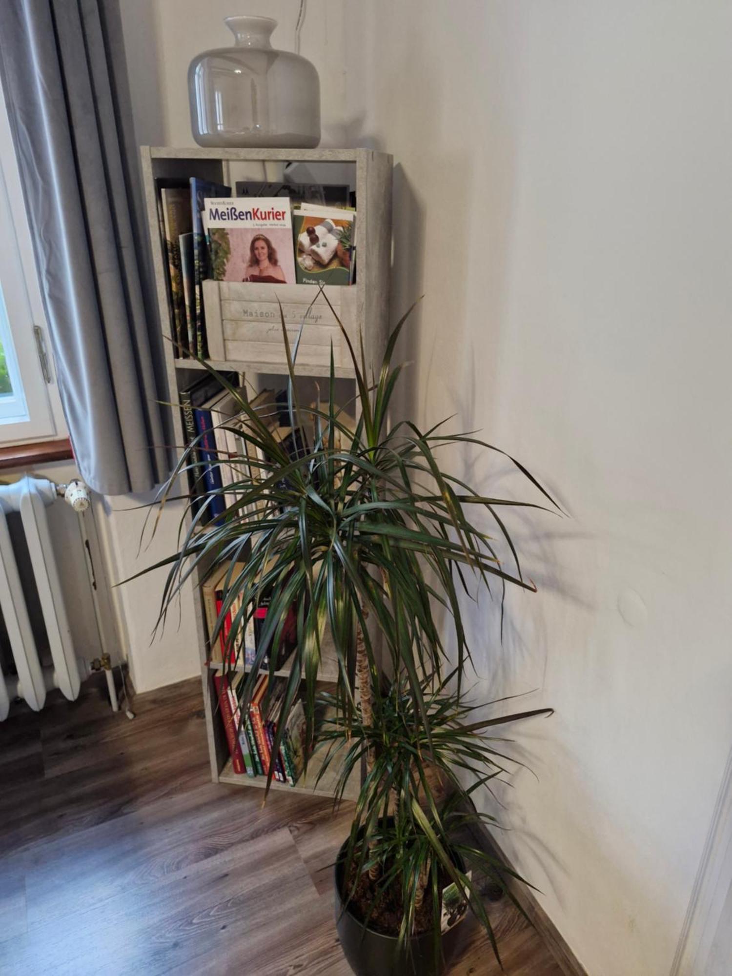 Ferienwohnung Ines Wolf in der Meißner Innenstadt Meißen Exterior foto